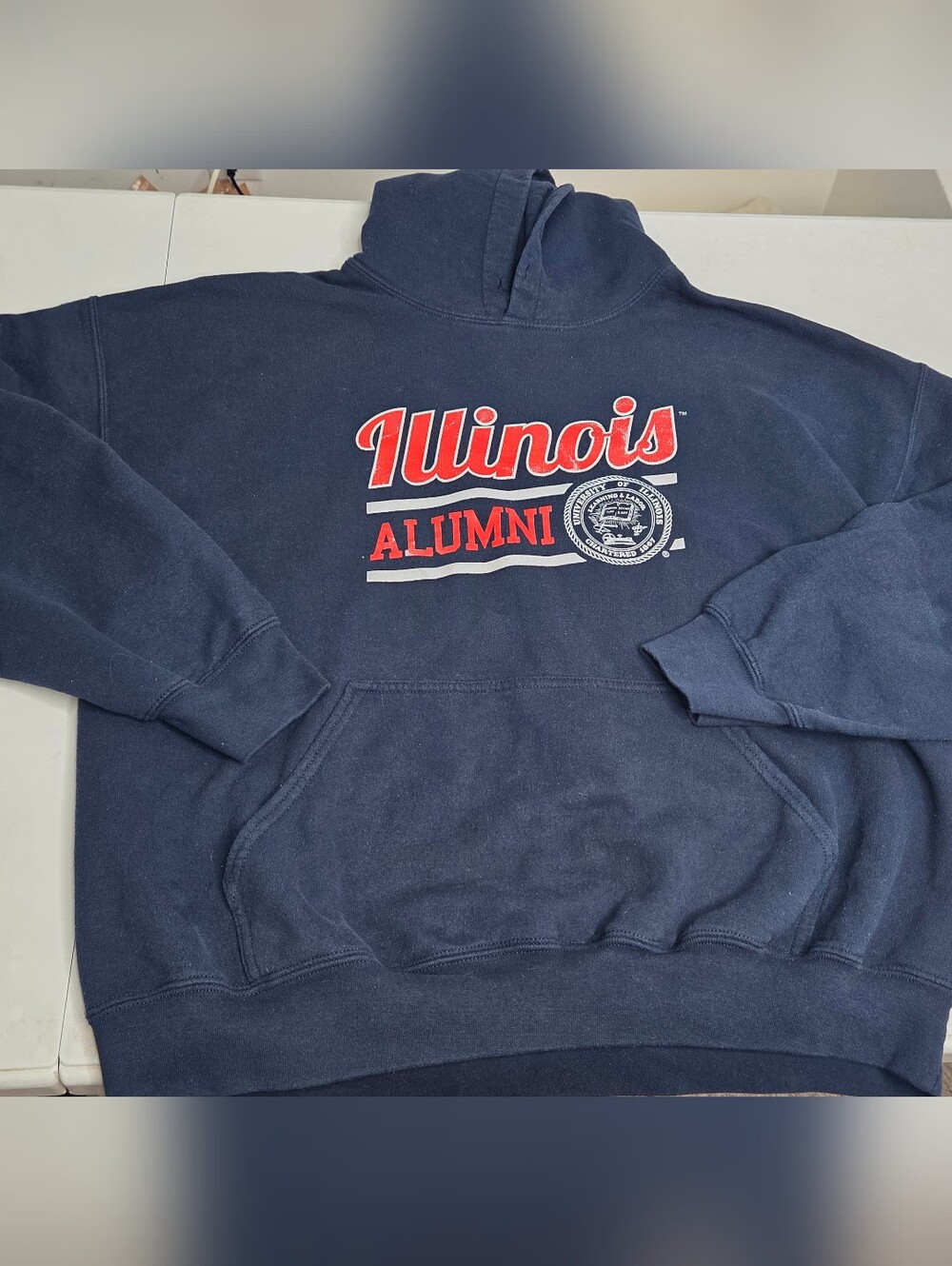 Gildan University of Illinois Alumni Hoodie Sweatshirt Navy Blue Mens XL College